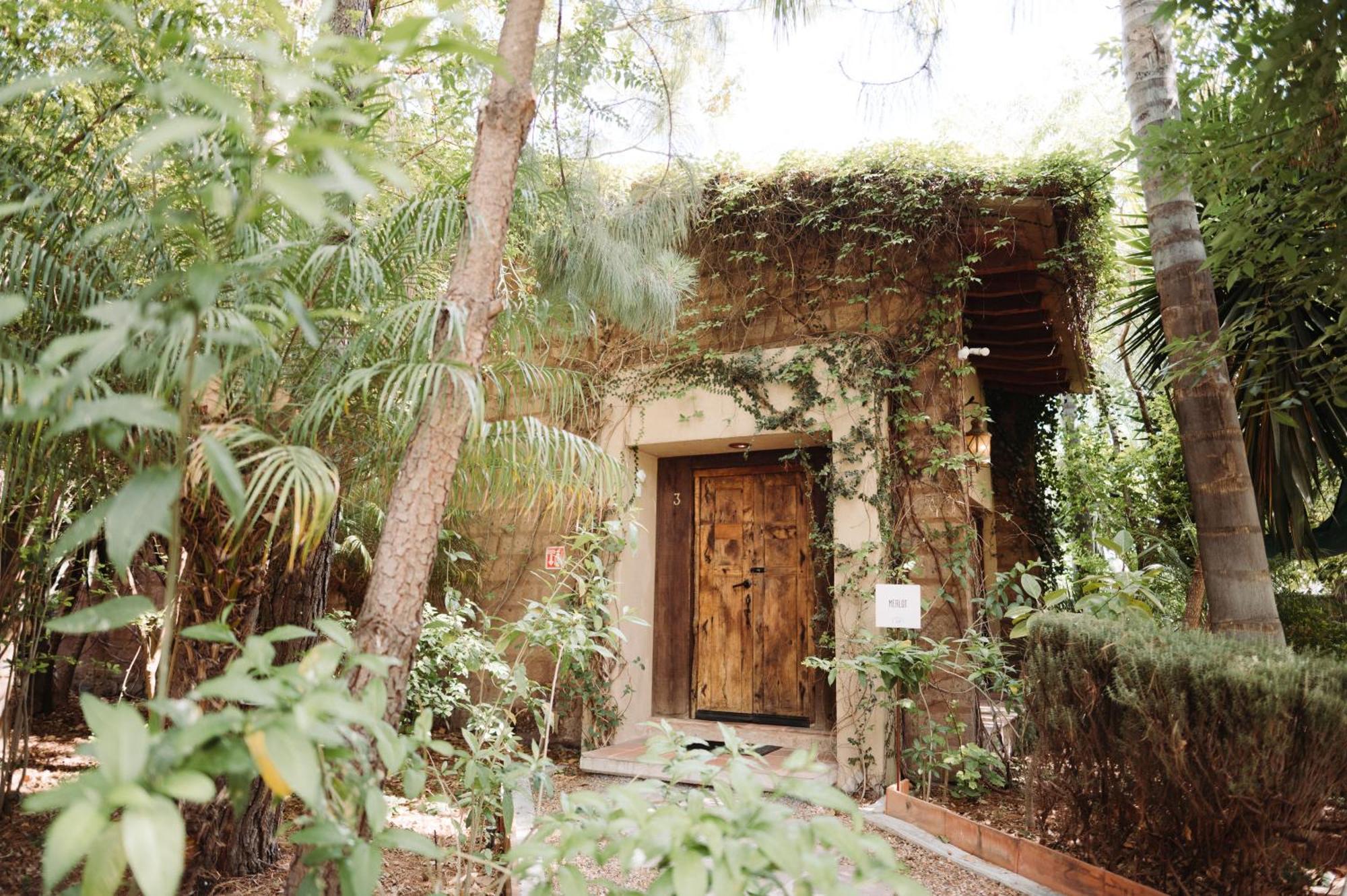 El CoyoteMaria & Bernardo Casa - Vinedo住宿加早餐旅馆 外观 照片