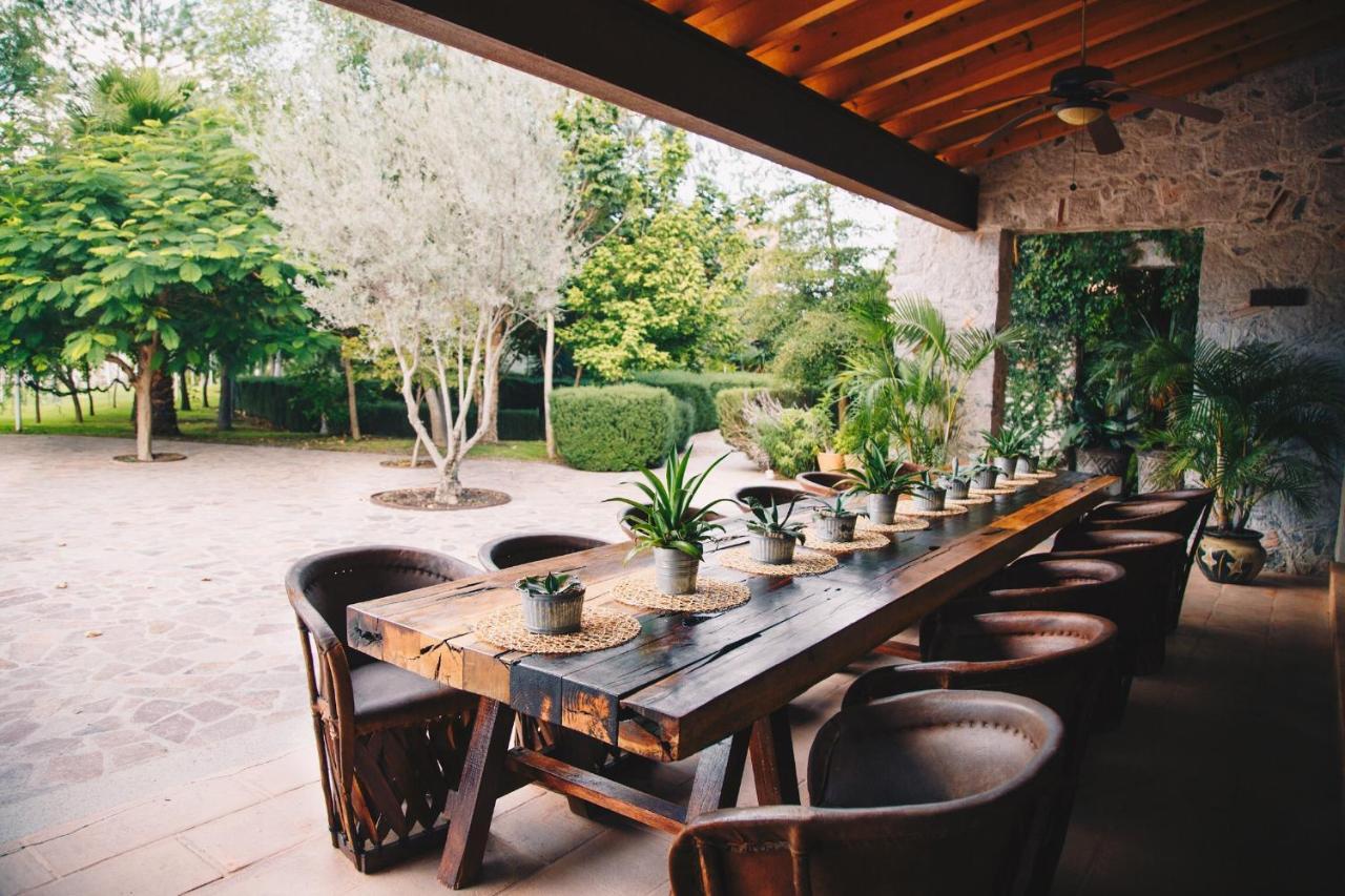 El CoyoteMaria & Bernardo Casa - Vinedo住宿加早餐旅馆 外观 照片